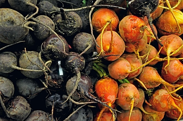 Как приготовить вкусный вегетарианский борщ: пошаговый рецепт и хитрости