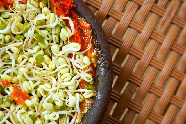 Рецепты Вегетарианских Блюд для Начинающих: Легкие и Вкусные Опции для Перехода на Растительную Диету